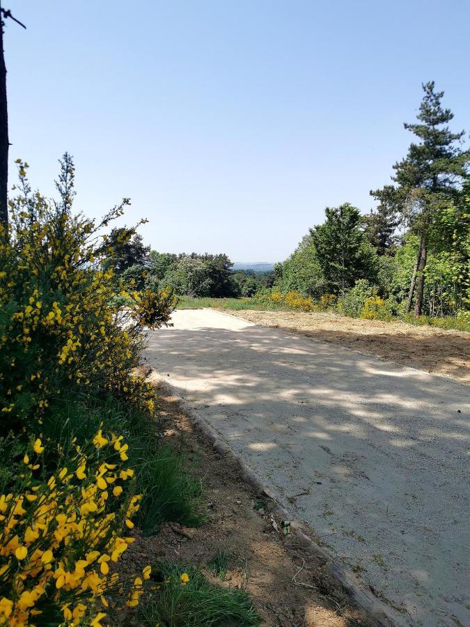 Vila Chez Marius Saint-Agrève Exteriér fotografie